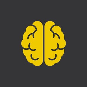 Icono cerebro - Modelos predictivos para empresas - Redflexia